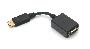 DisplayPort Male to VGA HD15 Female Adapter Cable