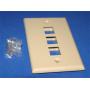 KEYSTONE Wall PLATE 3 HOLE IVORY