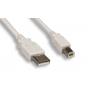 USB CABLE TYPE A to TYPE B CABLE 15FT